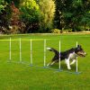 PawHut Dog Weave Pole Set, Agility Starter Kit for Outdoor Exercise Training