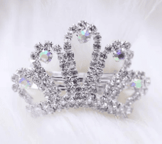 Tiara Barrette (Color: Silver)