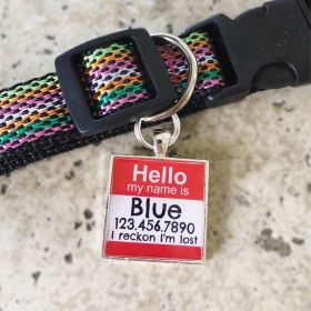 Hello Personalized Silver Dog ID Pet Tag (HELLO CENTER DESIGN COLOR: BLUE, SHAPE: ROUND)