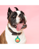 Don't Stop Retrievin' Ecoplastic Pet ID Tag- Choose from many colors.