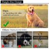 Reflective AirTag Dog Collar; ivienx Apple Air Tag Heavy Duty Dog Collar [Wide] Padded Pet Collar with AirTag Case Holder Accessories for Small M